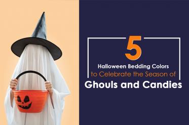 Top 5 Halloween Bedding Colors to Celebrate the Season of Ghouls and Candies