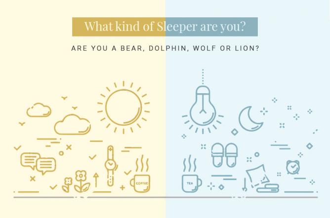 What kind of Sleeper are you?