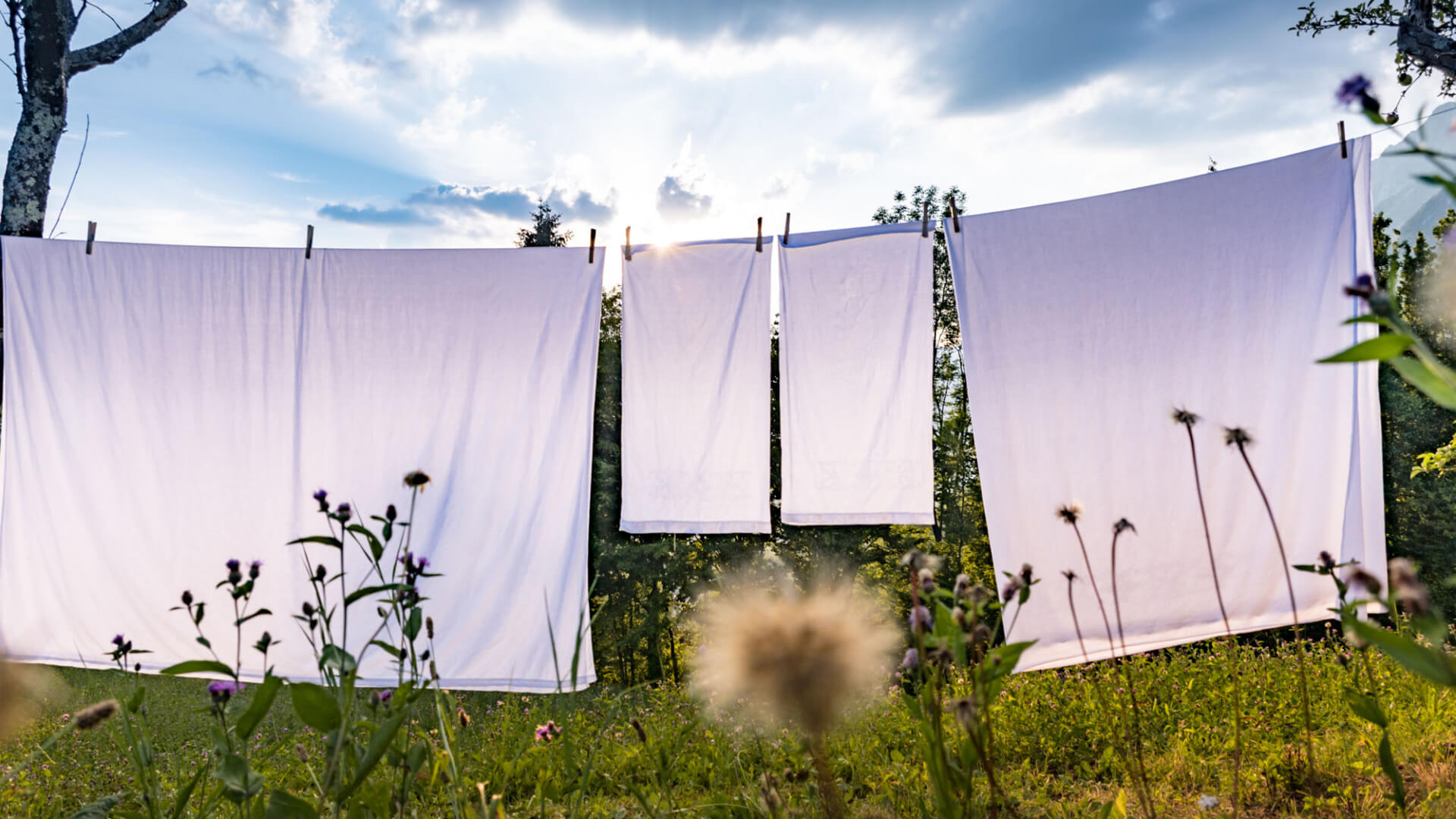 Drying Linens